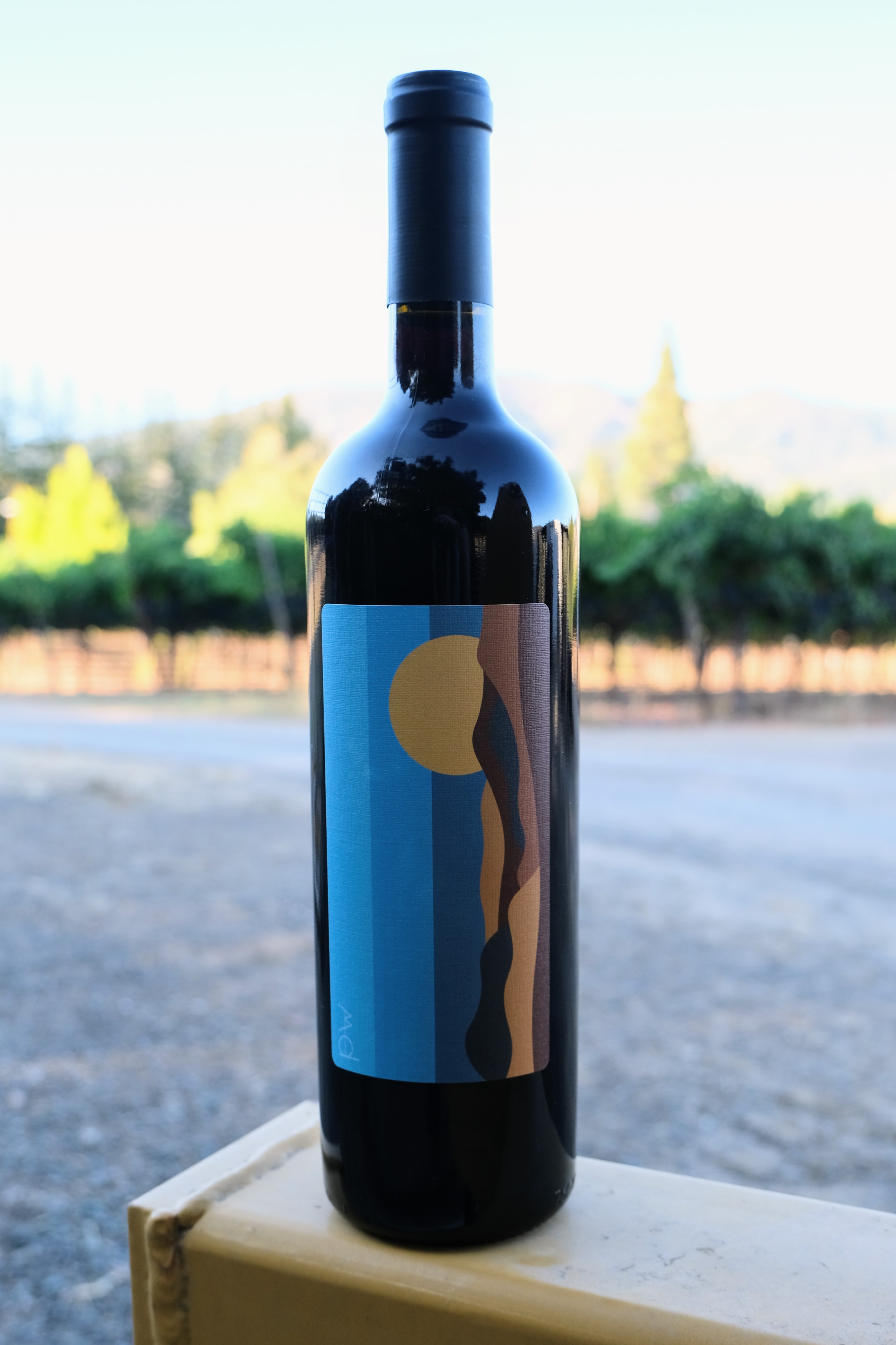 Panoramic Wines 2019 Cabernet Franc Front